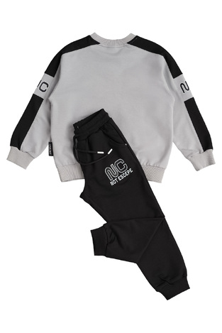 Seasonal SPRINT tracksuit set in gray with tiger appliqué design.